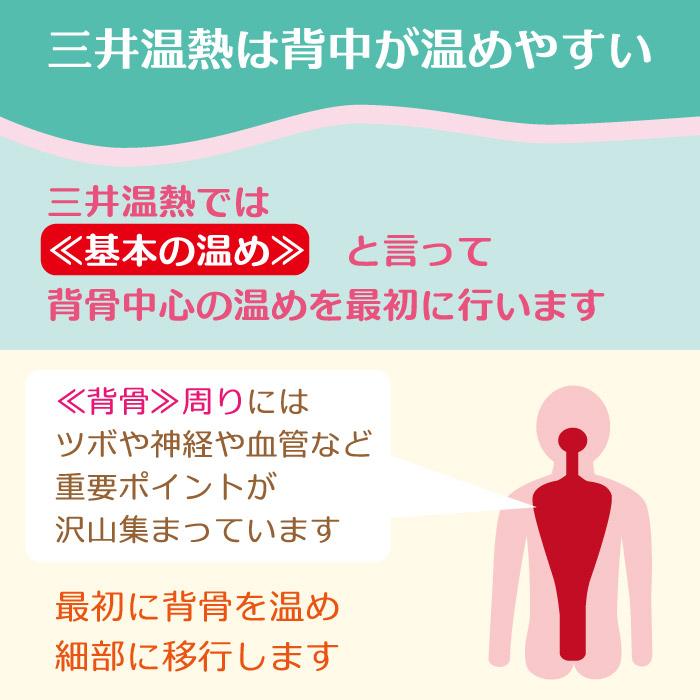 三井温熱「三井式温熱治療器2型」MI-02 2024年製造の最新ロットです
