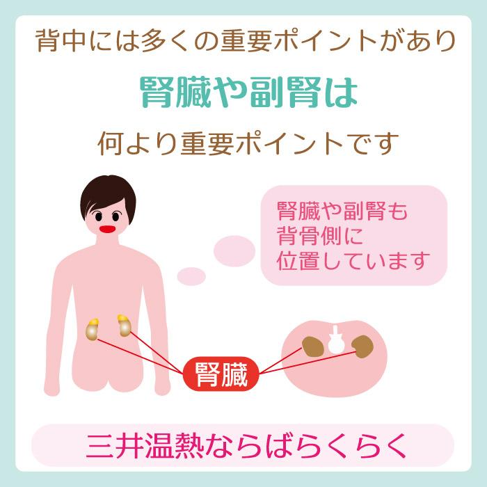 三井温熱「三井式温熱治療器2型」MI-02 2024年製造の最新ロットです