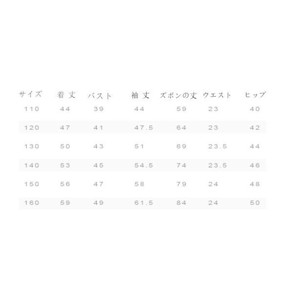 子ども服 リバーシブルタイプ 子供服 男の子 トレーナー セットアップ ジャージ キッズ 上下 長袖 春秋 ジュニア アウター 長ズボン スポーツウェア 運動服 可愛い おしゃれ Keusjbiy8a Sakphotography Com