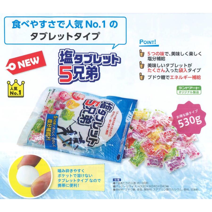熱中症対策 塩分補給 送料無料 2024年最新入荷 10袋まとめ買い 熱中症対策 塩分補給 送料無料 2024年最新入荷 10袋まとめ買い
