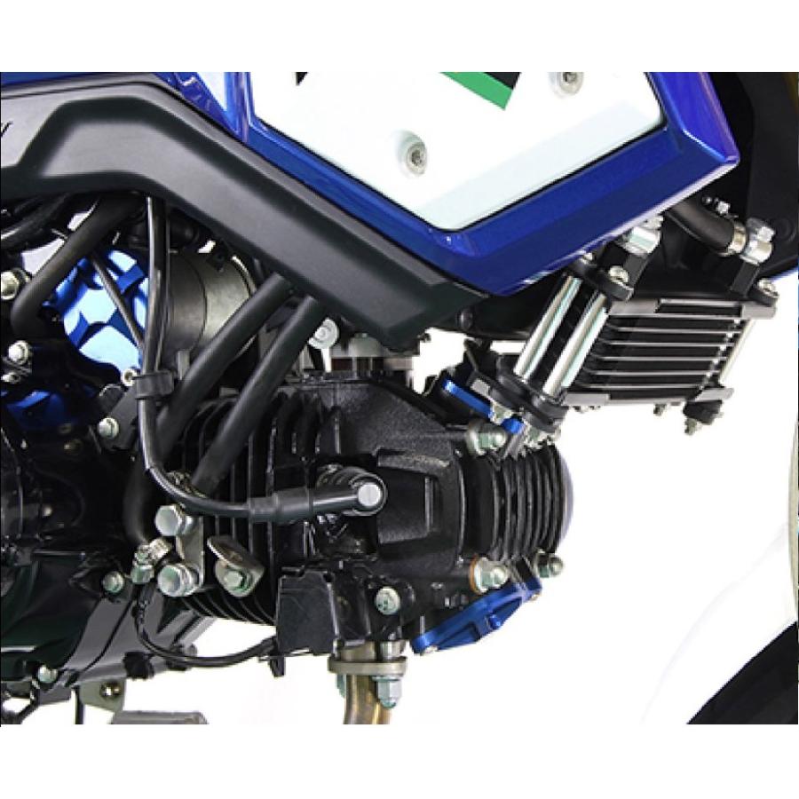 永*行様 グロム　JC61 JC75 オイルクーラー シフトアップ GROM JC61/75 オイルクーラー 8段 BLACK SILVER /260147