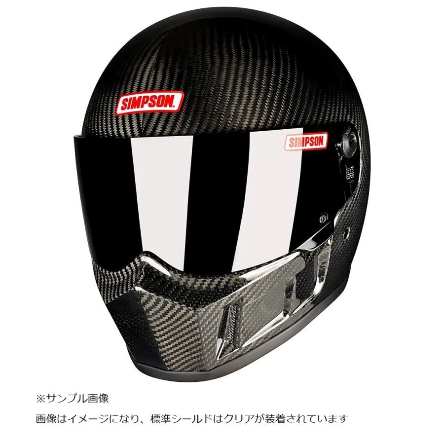SIMPSON（シンプソン） SIMPSON SB15 カーボン : porter2624ショップ