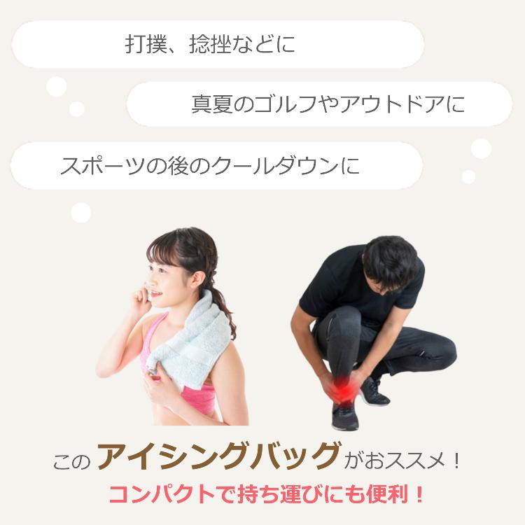 アイシングバッグ 氷のう アイス バック 3サイズ クールダウン 熱中症