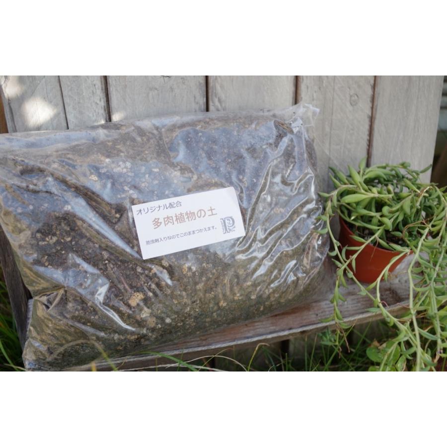 多肉植物の土 オリジナル配合 2l 寄せ植え 植え替えに :si001:PortobelloMarket Yahoo店 - 通販 - Yahoo!ショッピング 多肉植物の土 オリジナル配合 2l 寄せ植え 植え替えに :si001:PortobelloMarket Yahoo店 - 通販 - Yahoo!ショッピング