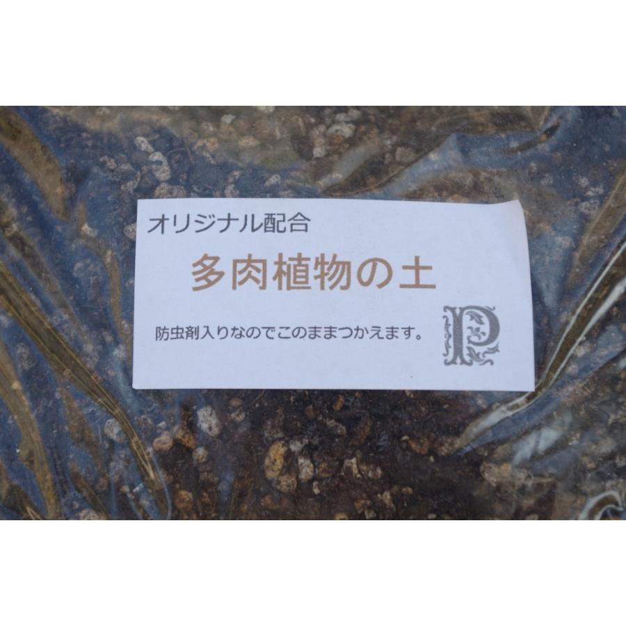 多肉植物の土 オリジナル配合 2l 寄せ植え 植え替えに|portobellomarket|03