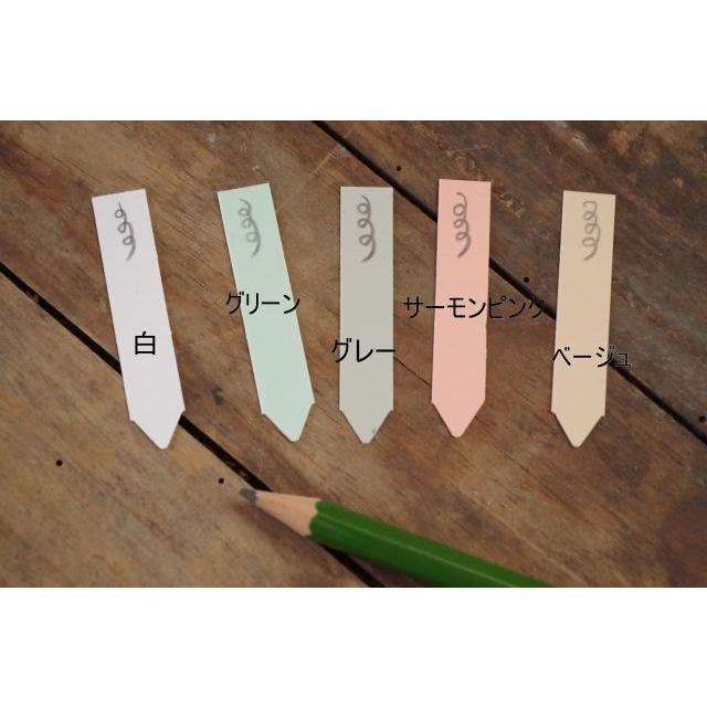 園芸用ラベル 多肉植物ラベル ラインラベル小 ベージュ10枚