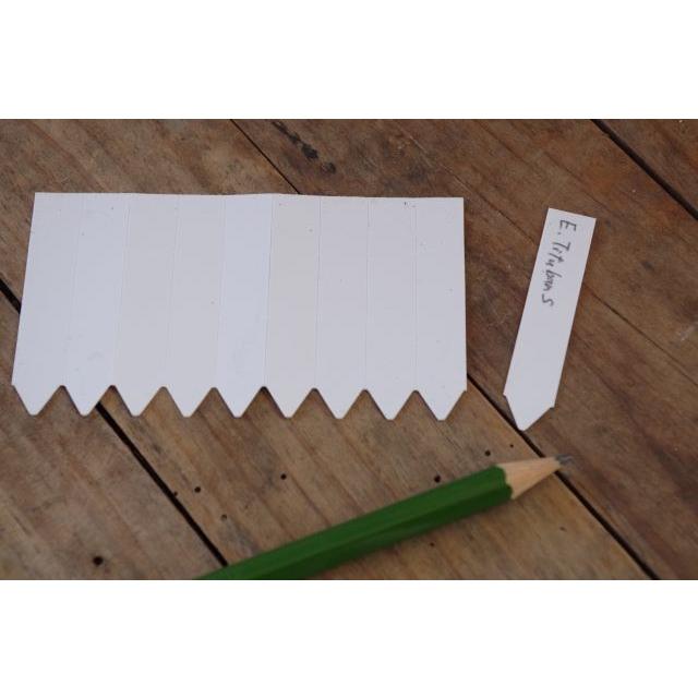 園芸用ラベル 多肉植物ラベル ラインラベル グリーン５００枚 Si013 Portobellomarket Yahoo店 通販 Yahoo ショッピング