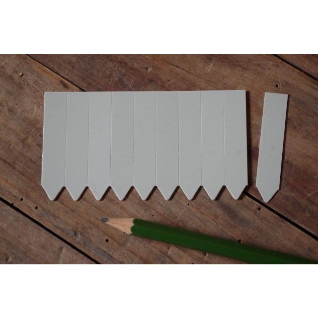 園芸用ラベル 多肉植物ラベル ラインラベル小 グレー100枚