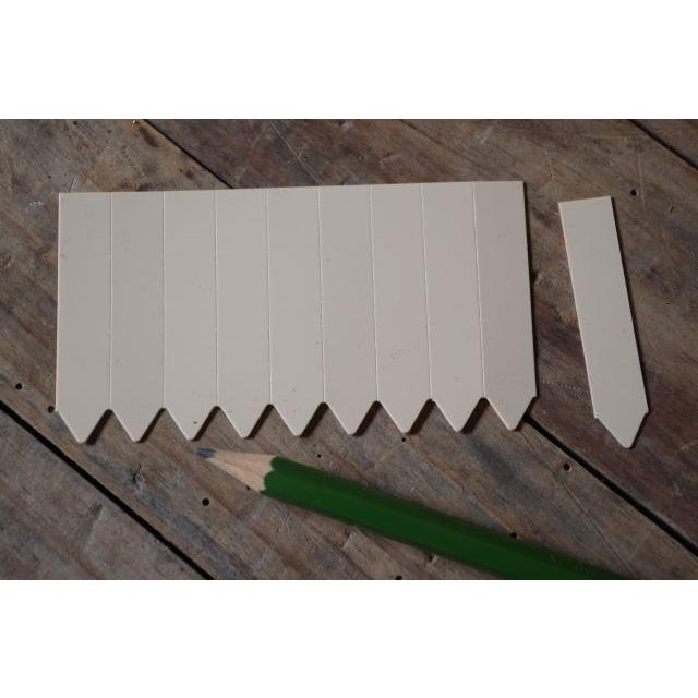 園芸用ラベル 多肉植物ラベル ラインラベル小 ベージュ100枚