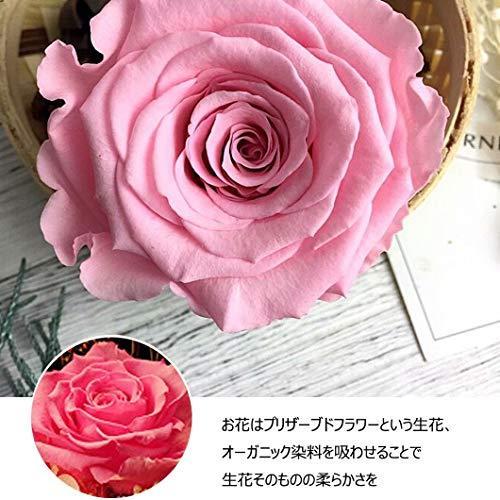 激安 ガラスドーム 花 3カラー 薔薇 ローズ ピンク 可愛い バラ プリザーブドフラワー Ledライト付き おしゃれ きれい ロマンティック ブリザードフラワー 木製ベース その他インテリア雑貨 小物 Pathwaysfl Org