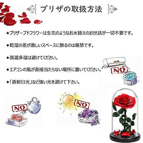 激安 ガラスドーム 花 3カラー 薔薇 ローズ ピンク 可愛い バラ プリザーブドフラワー Ledライト付き おしゃれ きれい ロマンティック ブリザードフラワー 木製ベース その他インテリア雑貨 小物 Pathwaysfl Org