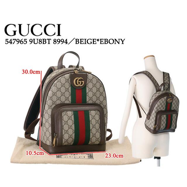 グッチ／GUCCI ”オフィディア GG スモール バックパック