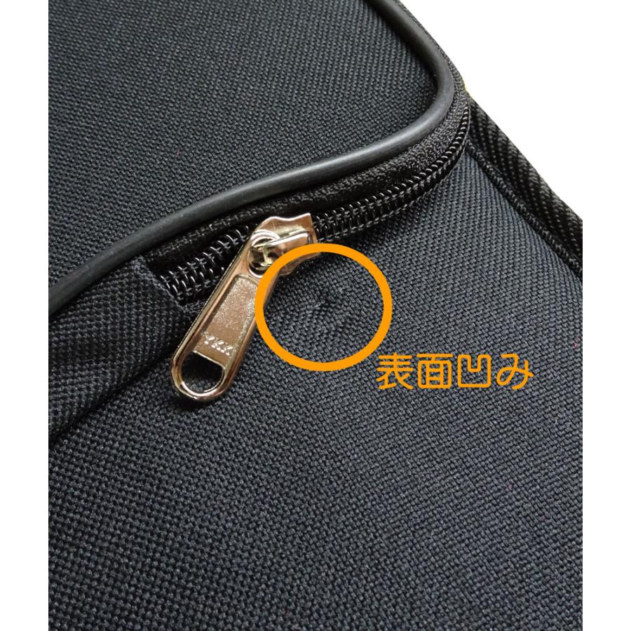 Speranza(スペランツァ)】軽量バイオリンケース 三角型＜4/4〜1/10