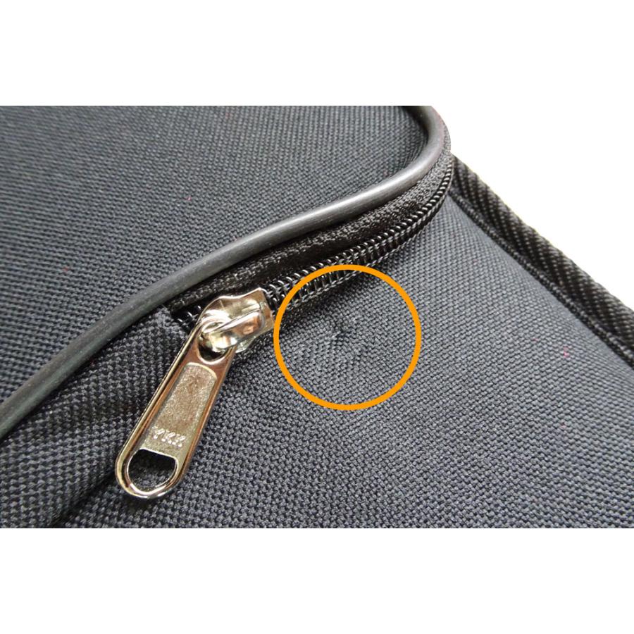 Speranza(スペランツァ)】軽量バイオリンケース 三角型＜4/4〜1/10