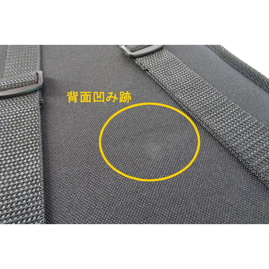 Speranza(スペランツァ)】軽量バイオリンケース 三角型＜4/4〜1/10