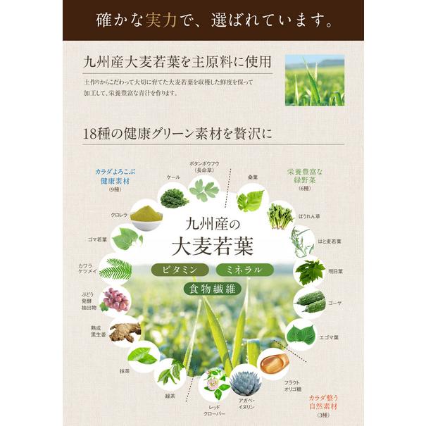 えがおの青汁満菜 えがおの青汁 ぎゅぎゅっと活菜青汁 31袋入り