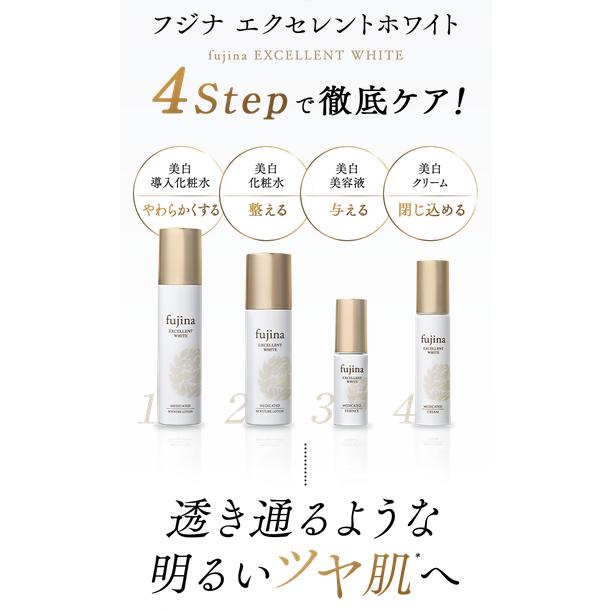 フジナエクセレントホワイト美白スキンケアセット