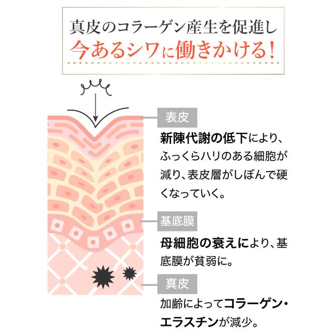 ピュアリースキン ファンデーション 26g : PositivoRegalo ピュアリースキン ファンデーション 26g : PositivoRegalo
