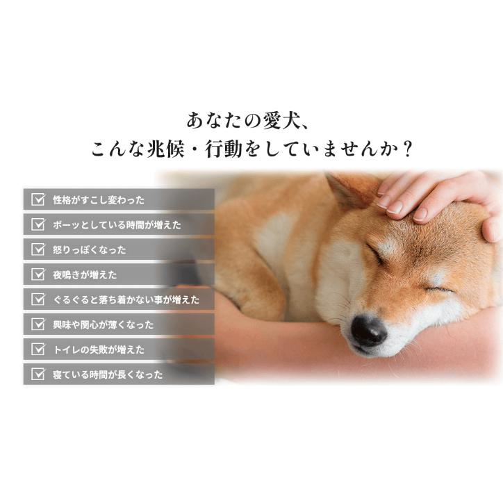【3箱セット送料込】犬用脳ケアメディカルスティック Nou+ のうプラス 犬用脳ケアメディカルスティック Nou＋ (30本入り