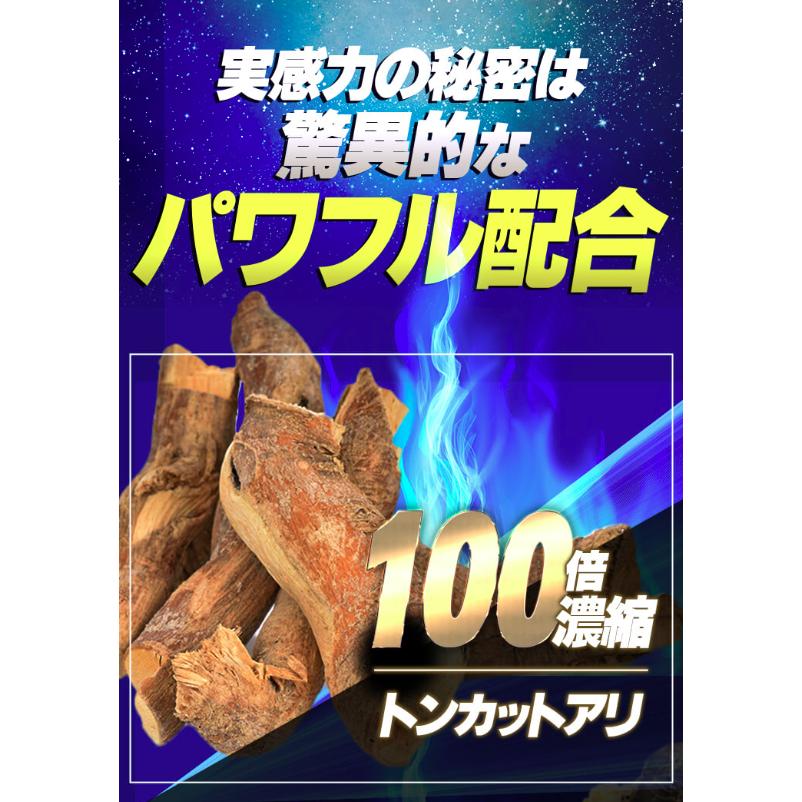 龍起丸 サプリ りゅうきがん 30包 : PositivoRegalo - 通販 - Yahoo