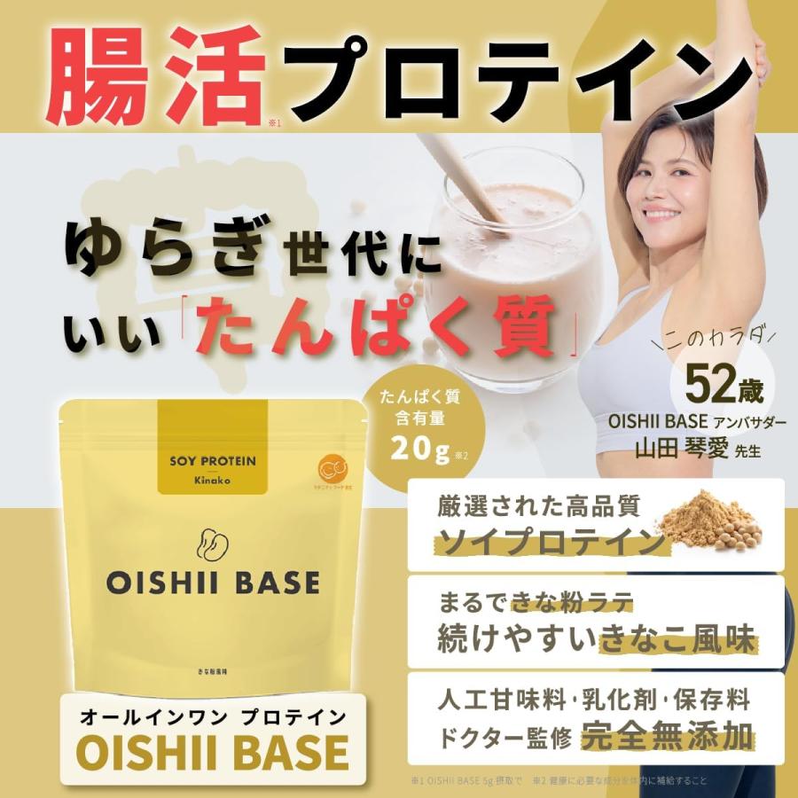 OISHII BASE リ・ダーマラボ 腸活プロテイン 500g : PositivoRegalo