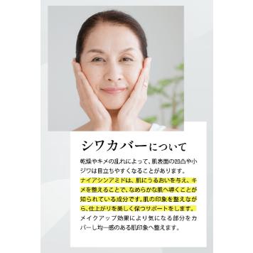 ARCHESS アーケス オリジン ヴェールファンデーション 20g