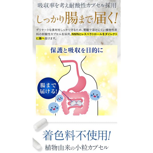 ノンリ NMN200プラス 30粒入り : 6098 : PositivoRegalo - 通販 
