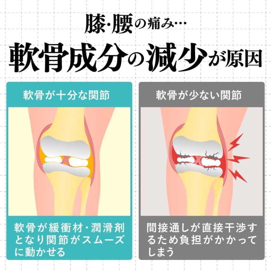 アユミル premium 膝 腰 サプリ （30日分） : PositivoRegalo - 通販