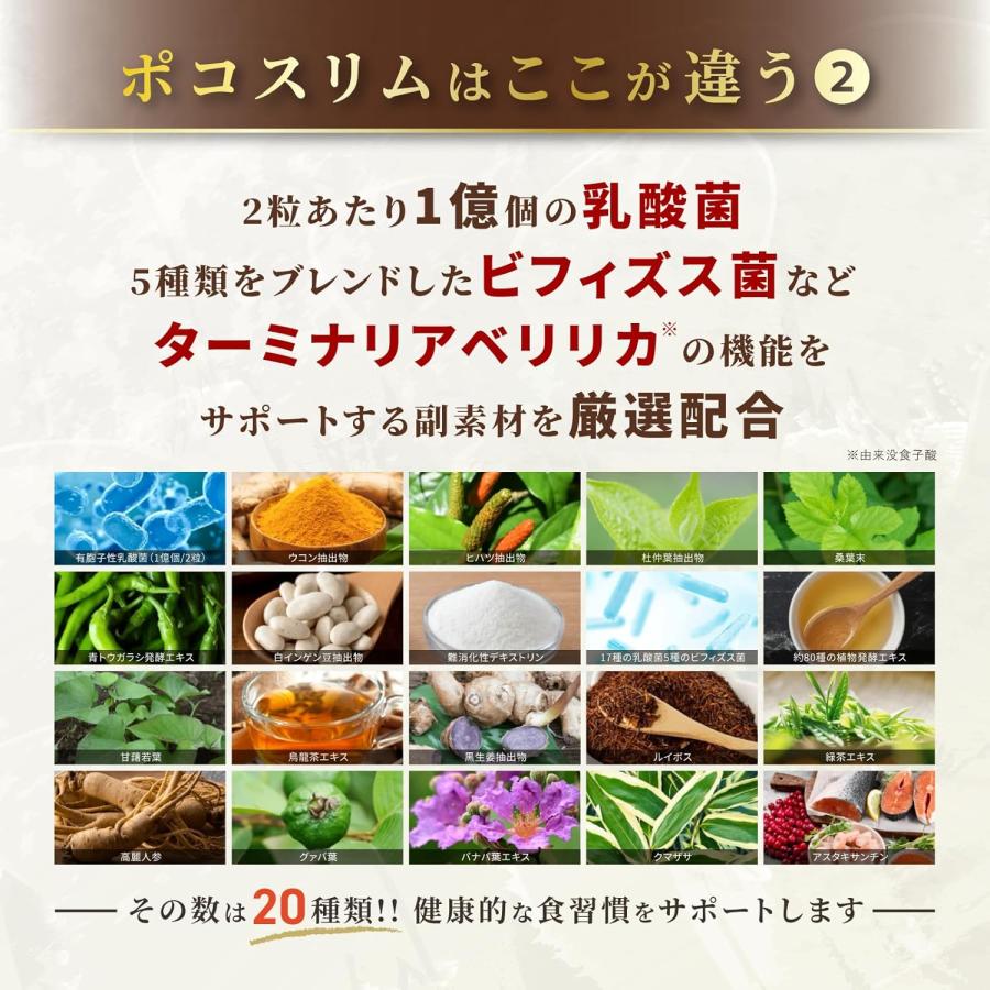 ポコスリム (60日分/120粒) 糖と脂肪の吸収を抑える ターミナリアべ