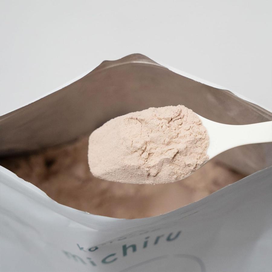 DECON ka-ra-da michiru （みちる） 600g プロテイン ココア味 GABA