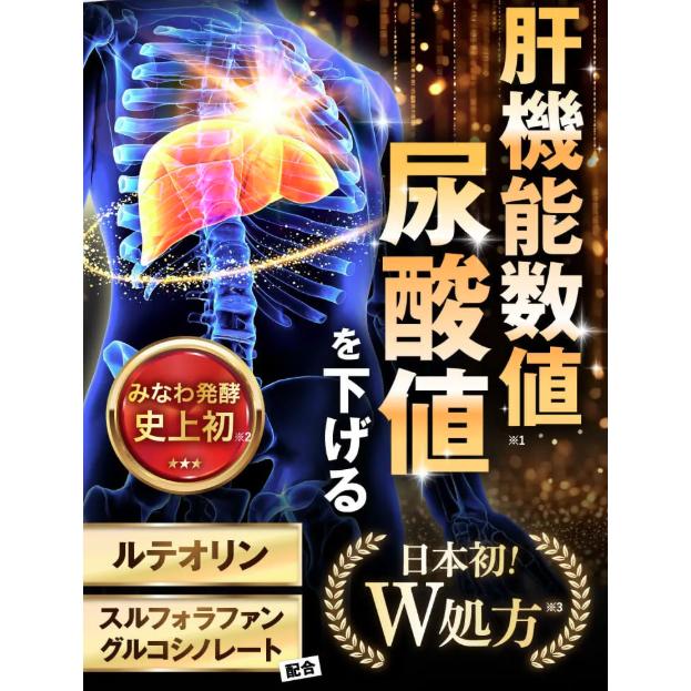 肝匠プロネス 15日分 : PositivoRegalo - 通販 - Yahoo!ショッピング