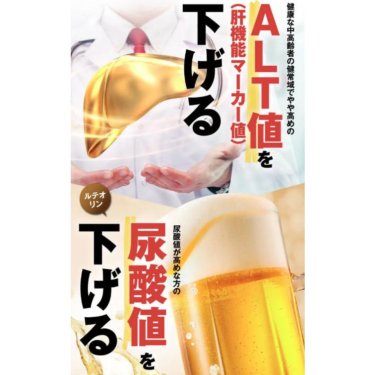 肝匠プロネス 15日分 : PositivoRegalo - 通販 - Yahoo!ショッピング