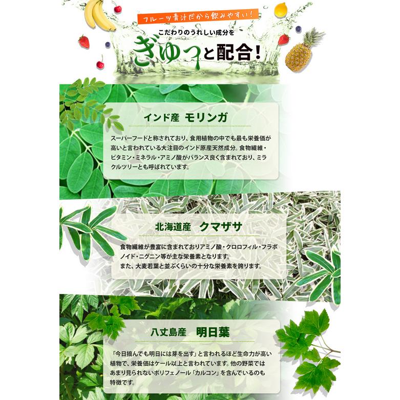 めっちゃ乳酸菌フルーツ青汁 Biesty 90g : 9004 : PositivoRegalo 