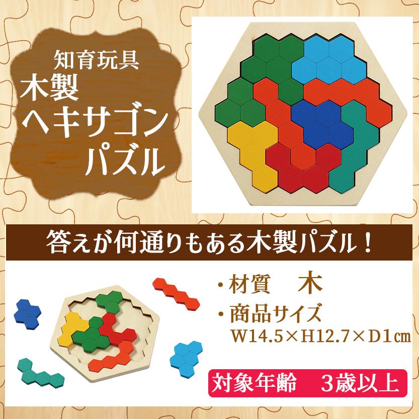 知育玩具 木製パズル ヘキサゴン パズル 全9ピース (対象年齢 3歳