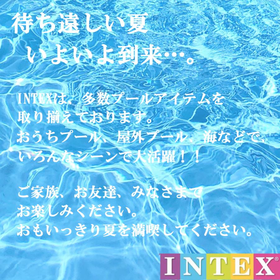 INTEX 空気入れ 「 ダブルクイック ハンドポンプ (倍速)」 空気ポンプ