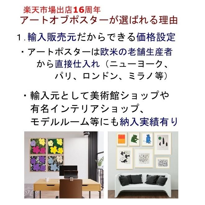 アートポスター 北欧 インテリア 植物 フレーム付き / アンリ アートポスター 北欧 インテリア 植物 フレーム付き / アンリ