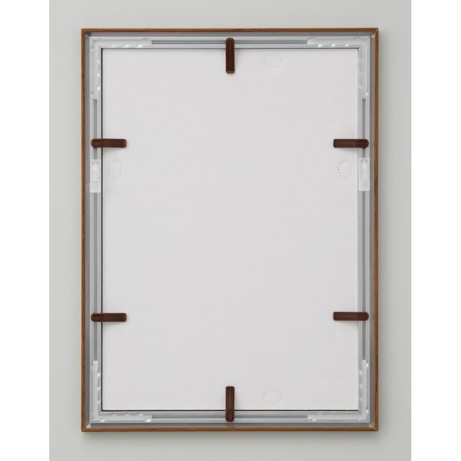 ロブスターの標本 木製フレーム付き 約70cm x 50cm 【公式通販】