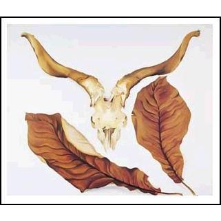 アートポスター 羊の頭と茶色の葉 648 761mm オキーフ おしゃれインテリアに Okeef25 アートオブポスター 通販 Yahoo ショッピング