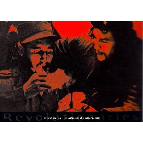 革命家 チェ ゲバラとカストロ ポスター フレーム付 タレントグッズ フレーム色 金