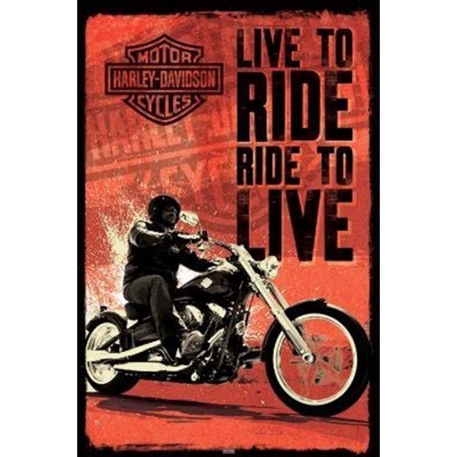 ハーレー・ダヴィッドソン ポスター Harley-Davidson Live To Ride 軽量アルミ製フレーム付 91.5×61cm :  motor-50399-1 : ポスターアート通販の檜屋 - 通販 - Yahoo!ショッピング