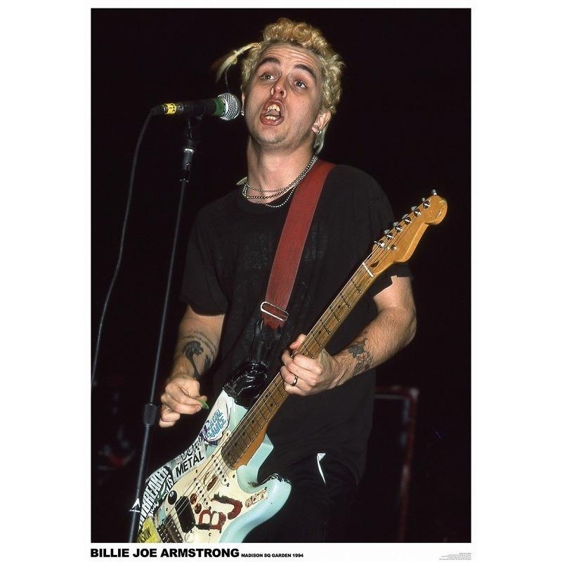 グリーン デイ ビリー ジョー アーム ストロング ポスター Green Day フレーム付 Music 1 ポスターアート通販の檜屋 通販 Yahoo ショッピング
