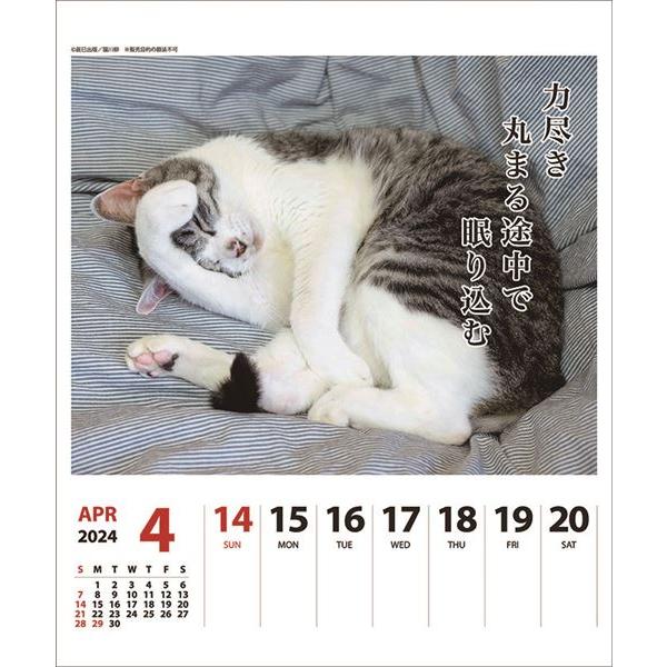 (動物)猫川柳 週めくり 卓上/壁掛 2024年カレンダー｜posterbin2｜04