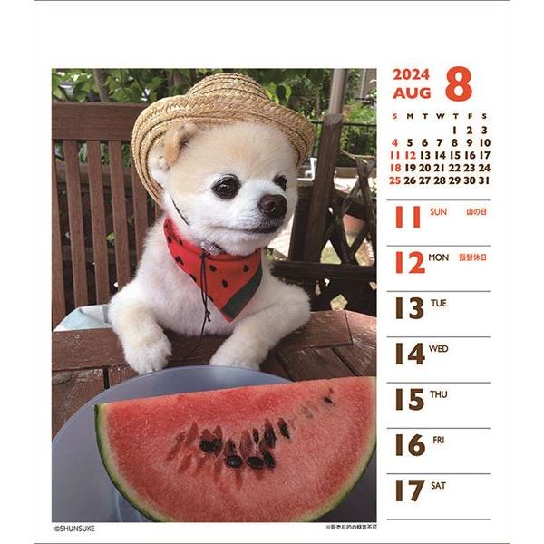 (動物)俊介 週めくりミニ 2024年カレンダー｜posterbin2｜04