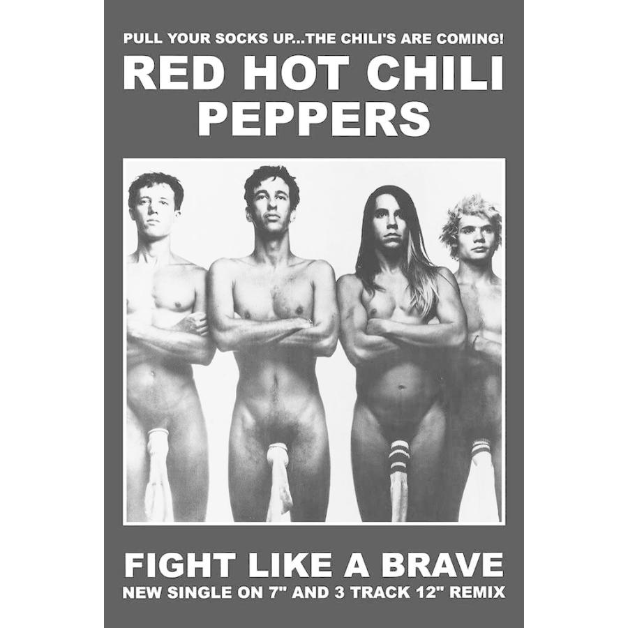 最新作の 新品 red hot chili peppers ポスター ecousarecycling.com