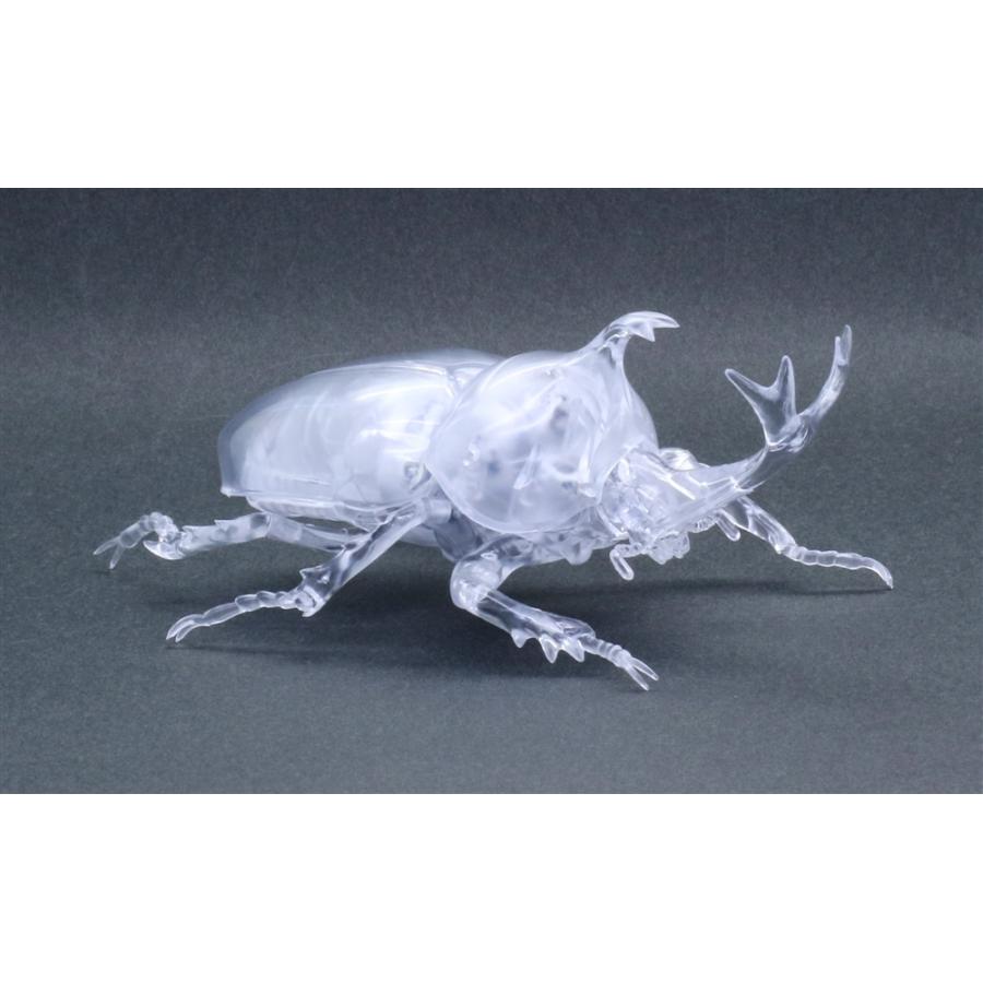 フジミ 自由研究シリーズ No 21 Ex 1 いきもの編 カブトムシ 特別仕様 クリアー スケールモデル ポストホビーwebshop Yahoo 店 通販 Yahoo ショッピング