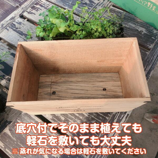 プランター 植木鉢 鉢 おしゃれ 木製 楕円形 大型 モデル着用 注目アイテム スタンド 野菜 屋外 ラック 菜園 長方形 オシャレ カバー ナチュラルウッド 室内 長角l