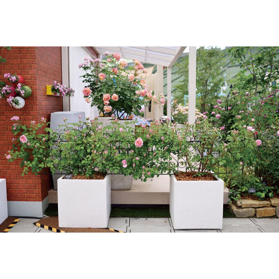 タカショー G-story デザイントレリス（訳あり）