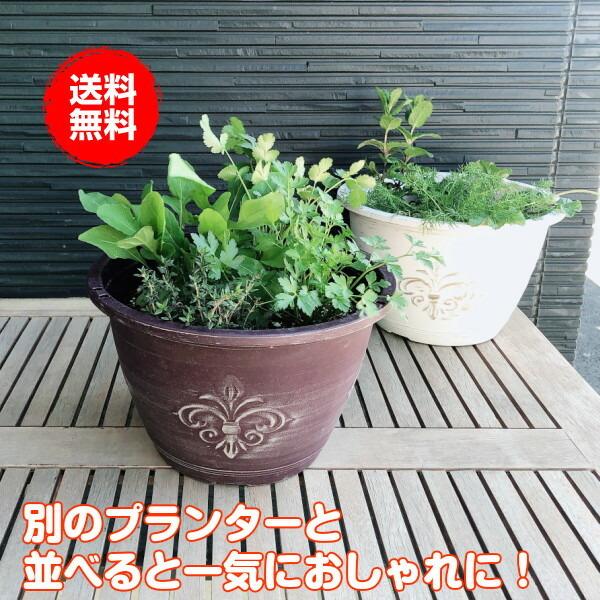 安い プランター 植木鉢 鉢 おしゃれ 木製 楕円形 大型 スタンド 野菜 ラック オシャレ カバー 屋外 室内 菜園 アンティークライトプラワン 茶 Globescoffers Com