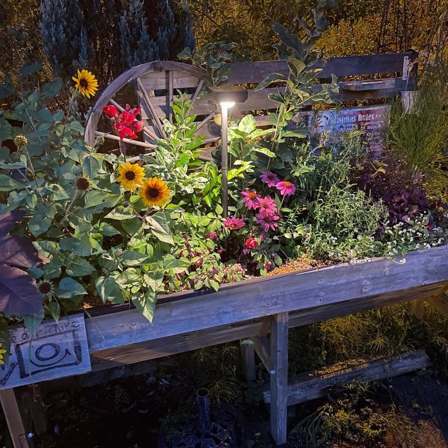 タカショー ひかりノベーション 花のひかり 基本セット（2個セット