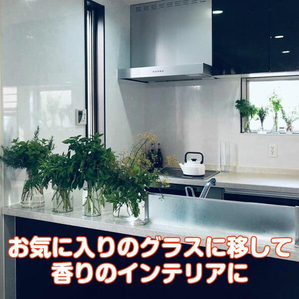 ハーブ ブーケ ミント（通販 ハーブティー 寄せ植え セット 本 生花 母の日 花束 ミニブーケ スワッグ ケース 作り方 東京 贈り物 種類）｜potager｜05